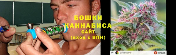 дживик Надым
