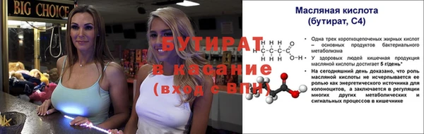 дживик Надым