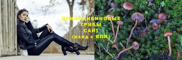 дживик Надым