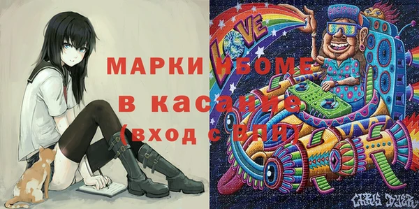 дживик Надым