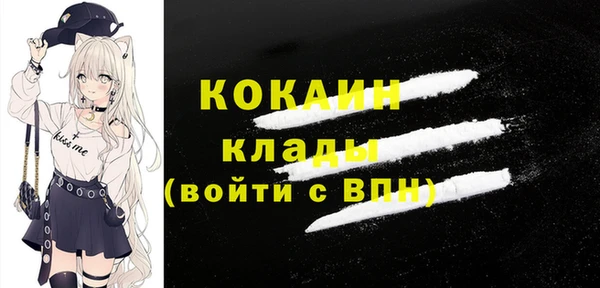 дживик Надым