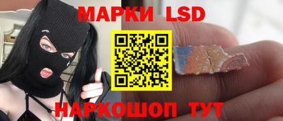 стаф Донецк