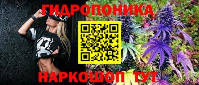 стаф Донецк